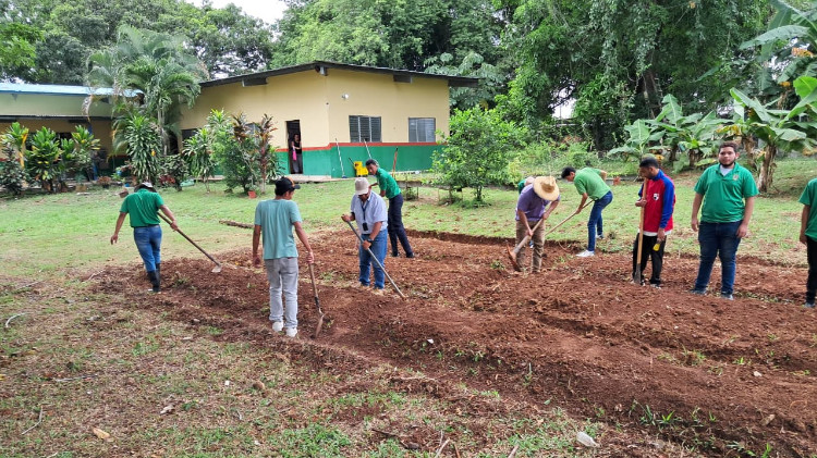 Imagen Estudiantes del IPHE Veraguas fortalecen competencias agropecuarias y promueven el cuidado del ambiente