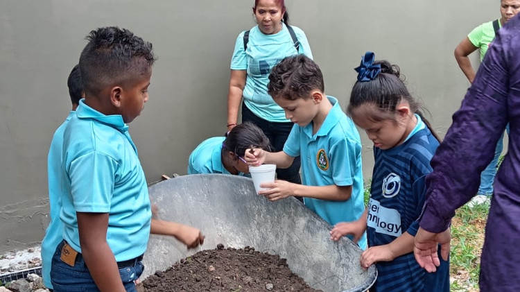 Imagen Estudiantes del IPHE Penonomé promueven el cuidado del ambiente con jornada práctica de agricultura