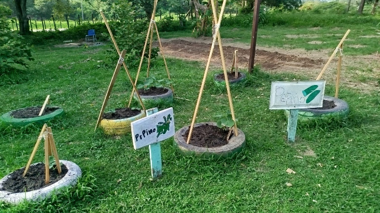 Imagen Huerto escolar fortalece el aprendizaje práctico y la educación ambiental de estudiantes del IPHE Antón