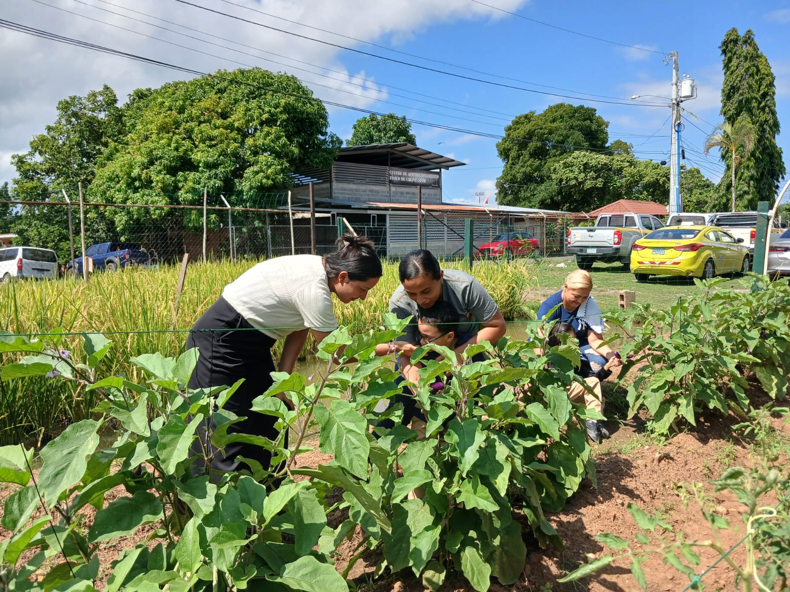 Huerto escolar convierte la siembra en una experiencia de aprendizaje para estudiantes del IPHE de Panamá Este.