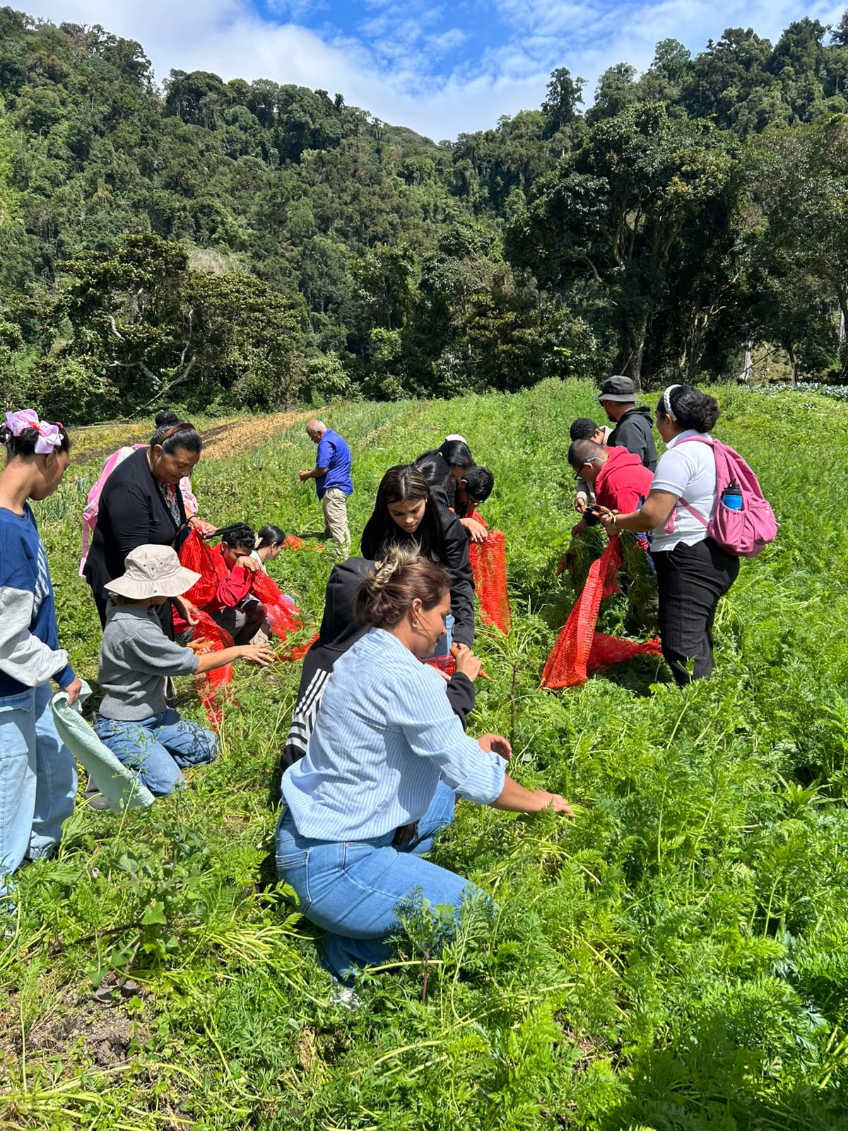 Estudiantes de Chiriquí vinculan aprendizajes agrícolas con proyecto de huerto escolar