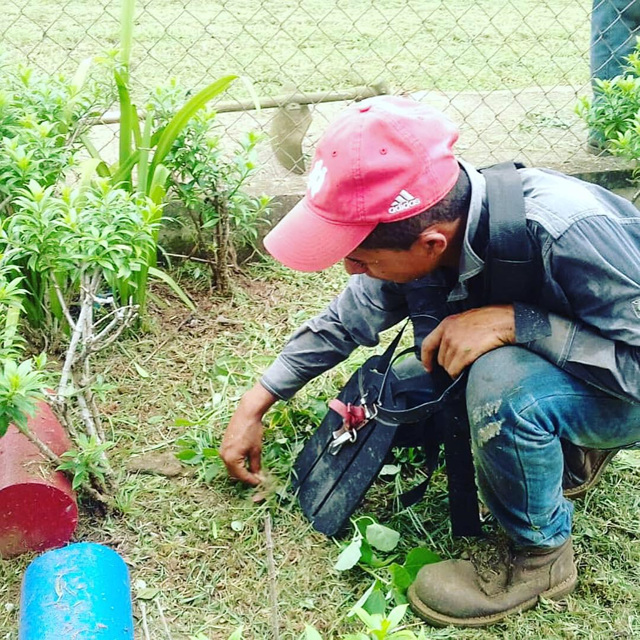 Realizan trabajos preventivos en CAIPI de la Extensión del IPHE en Aguadulce