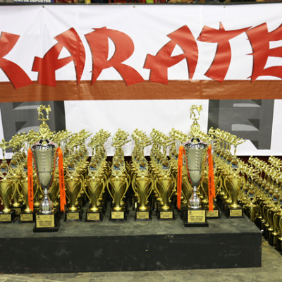 Torneo-Karate-Inclusivo-4-1501d26bbc4790d1c9831dd53b8d3f82.jpg