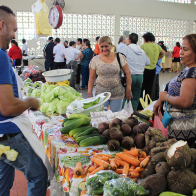 fco-6-6383ae556491c9711291745c587cfcc1.jpg