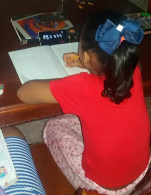 Educación a distancia; Desafío para el desarrollo de habilidades para el aprendizaje en casa