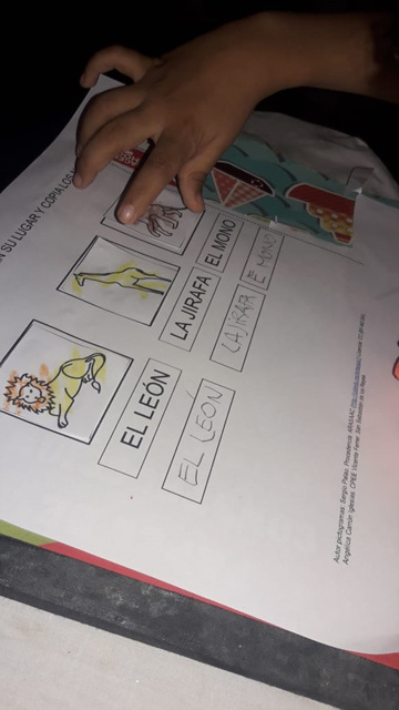 Programa de Parálisis Cerebral: Educación especial para una inclusión socio educativa plena