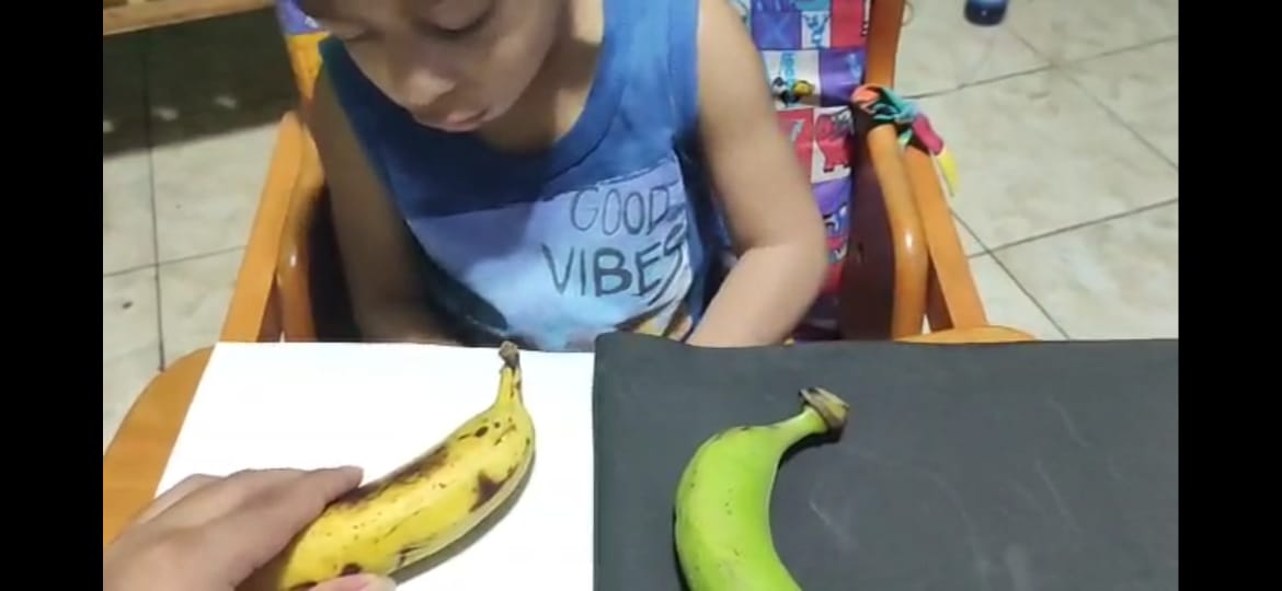 La estimulación visual debe desarrollarse en niños de 0 a 7 años de edad para maximizar su visión