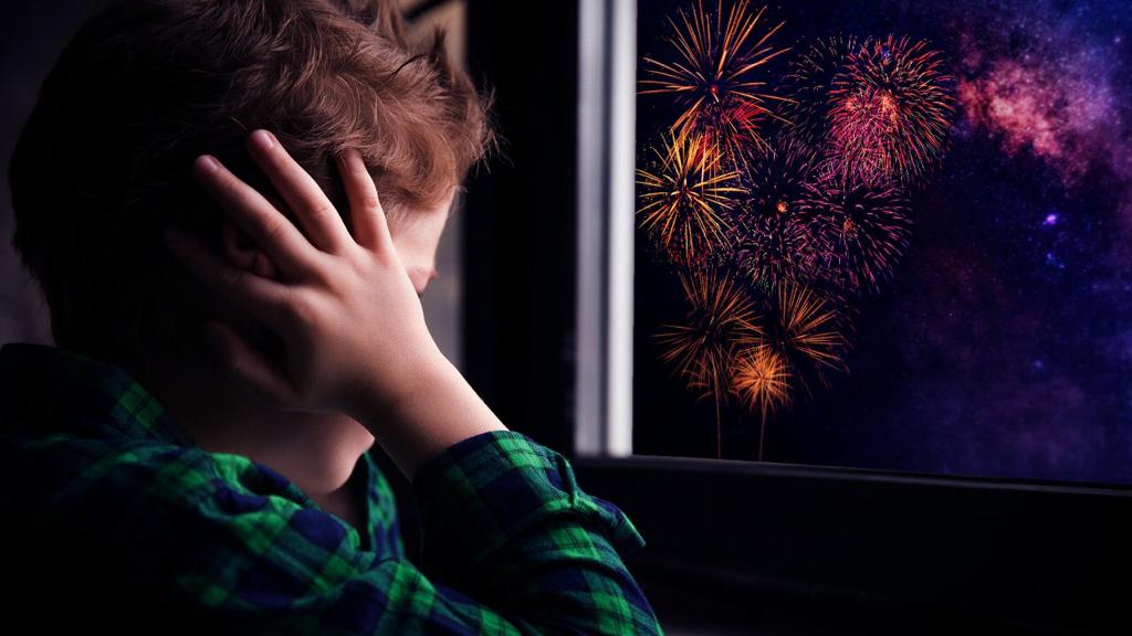 La pirotecnia y cómo afecta a los niños con alguna condición de discapacidad