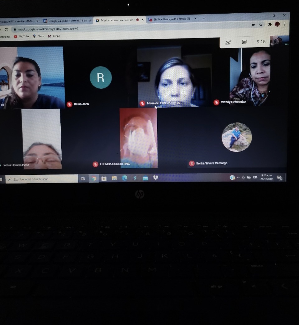 Fisioterapeutas del IPHE se organizan para las atenciones virtuales