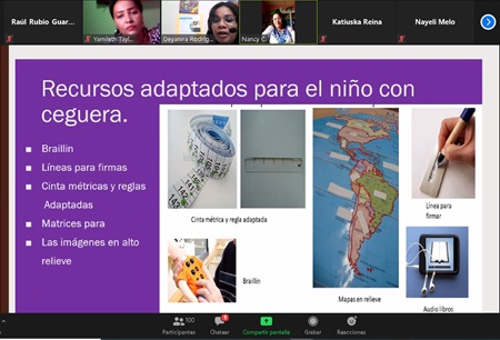 Taller virtual sobre Discapacidad Visual