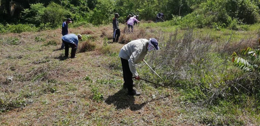Preparan terreno para sembrar productos agrícolas