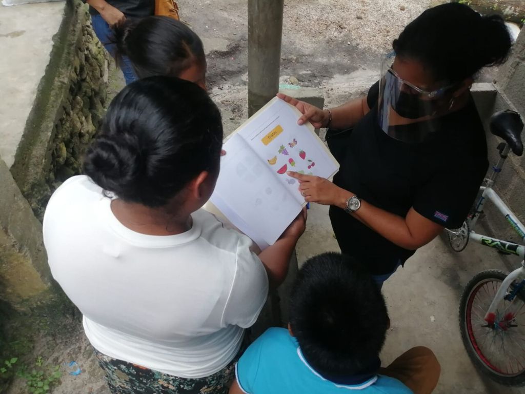  Técnicos y docentes del IPHE de Antón  brindan seguimiento y atención en Alto de la Estancia y Juan Díaz