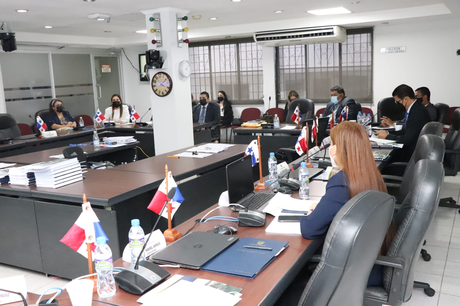 IPHE sustenta Vista Presupuestaria para el 2022