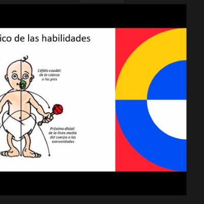 b80e97b0-f3ed-4254-b59a-637a7deb57c2-b8dacfa262a77ba7c012160832e3e45d.jpg
