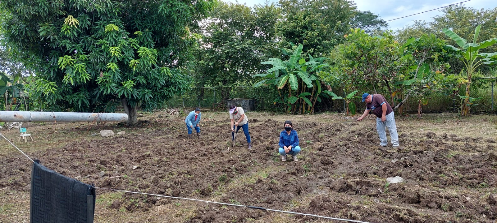 Extensión de los Santos y Nutre Hogar promueven proyecto de huerto
