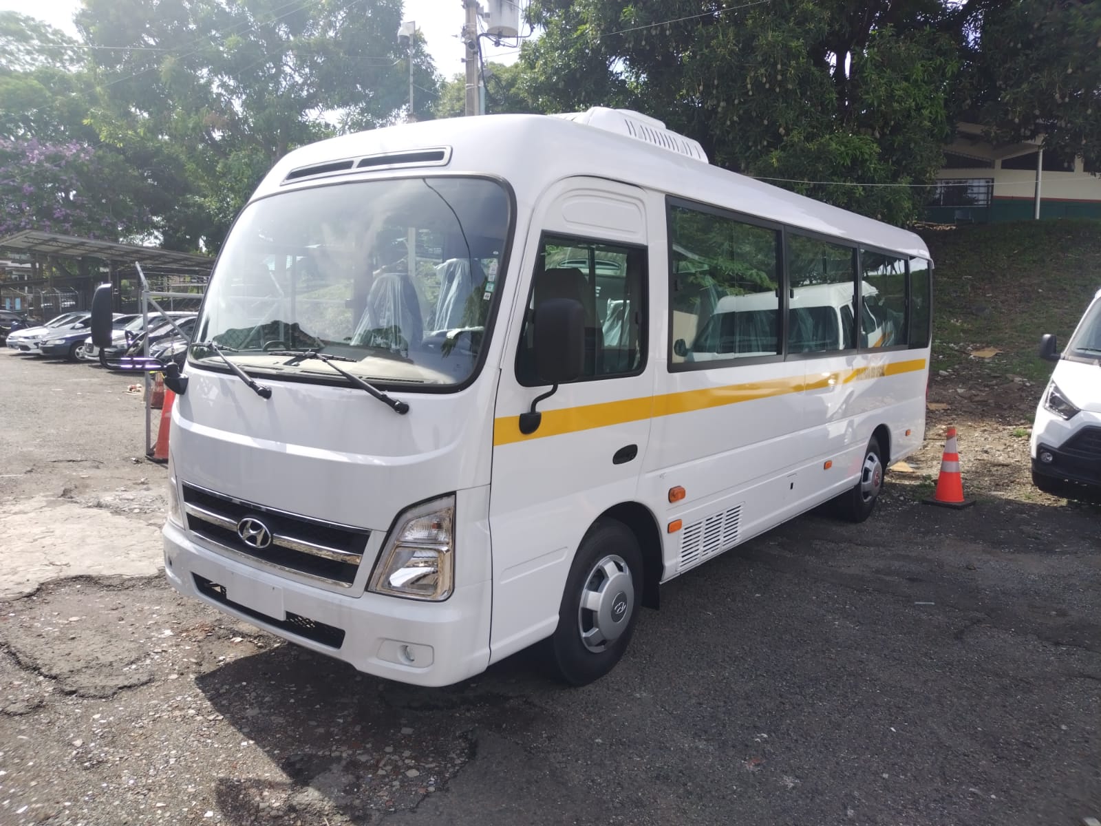 Nuevos buses para el transporte de los estudiantes