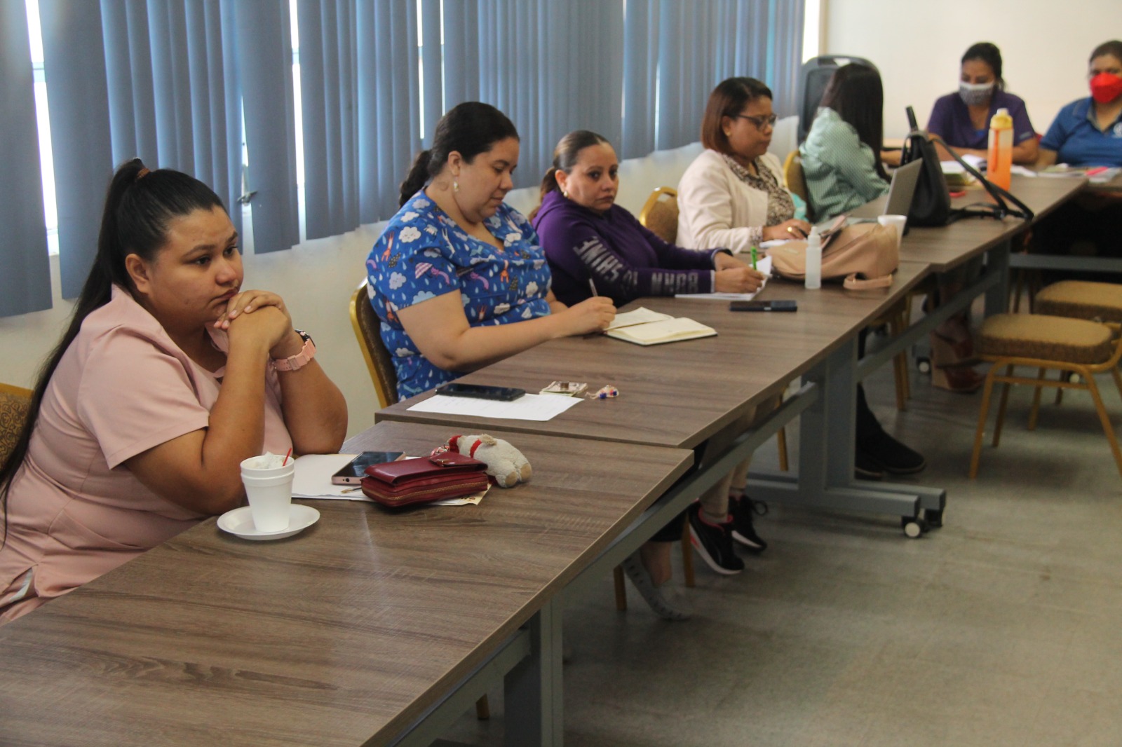 Fonoaudiólogos del IPHE realizan reunión mensual de coordinación
