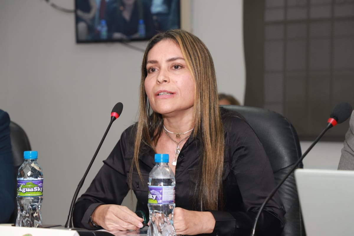 IPHE gestiona aprobación de un crédito extraordinario ante la Comisión de Presupuesto