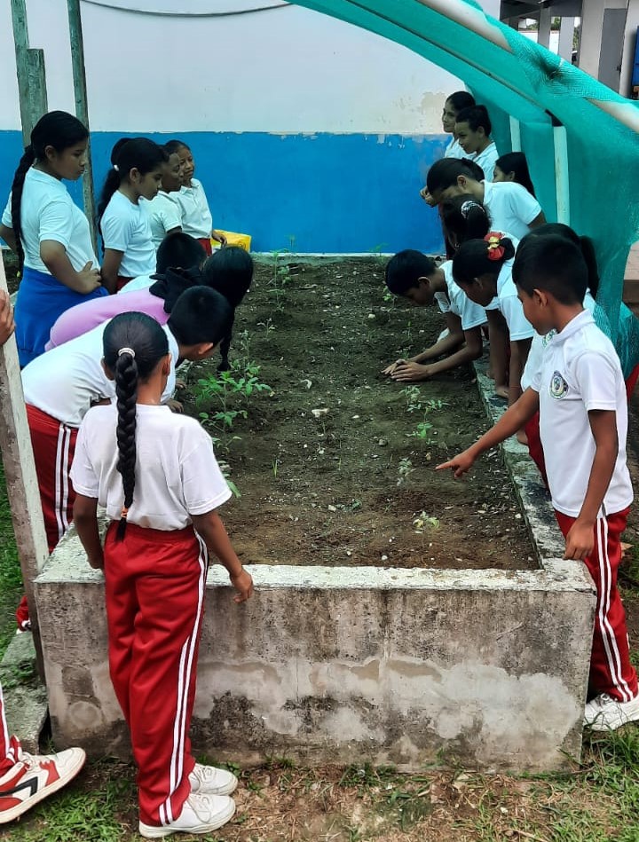 Estudiantes de Santa Fe de Darién desarrollan huertos escolares