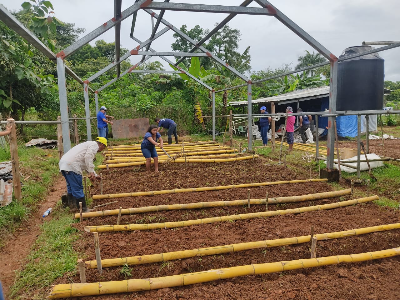 Padres de Veraguas participan de proyecto de siembra en Soná