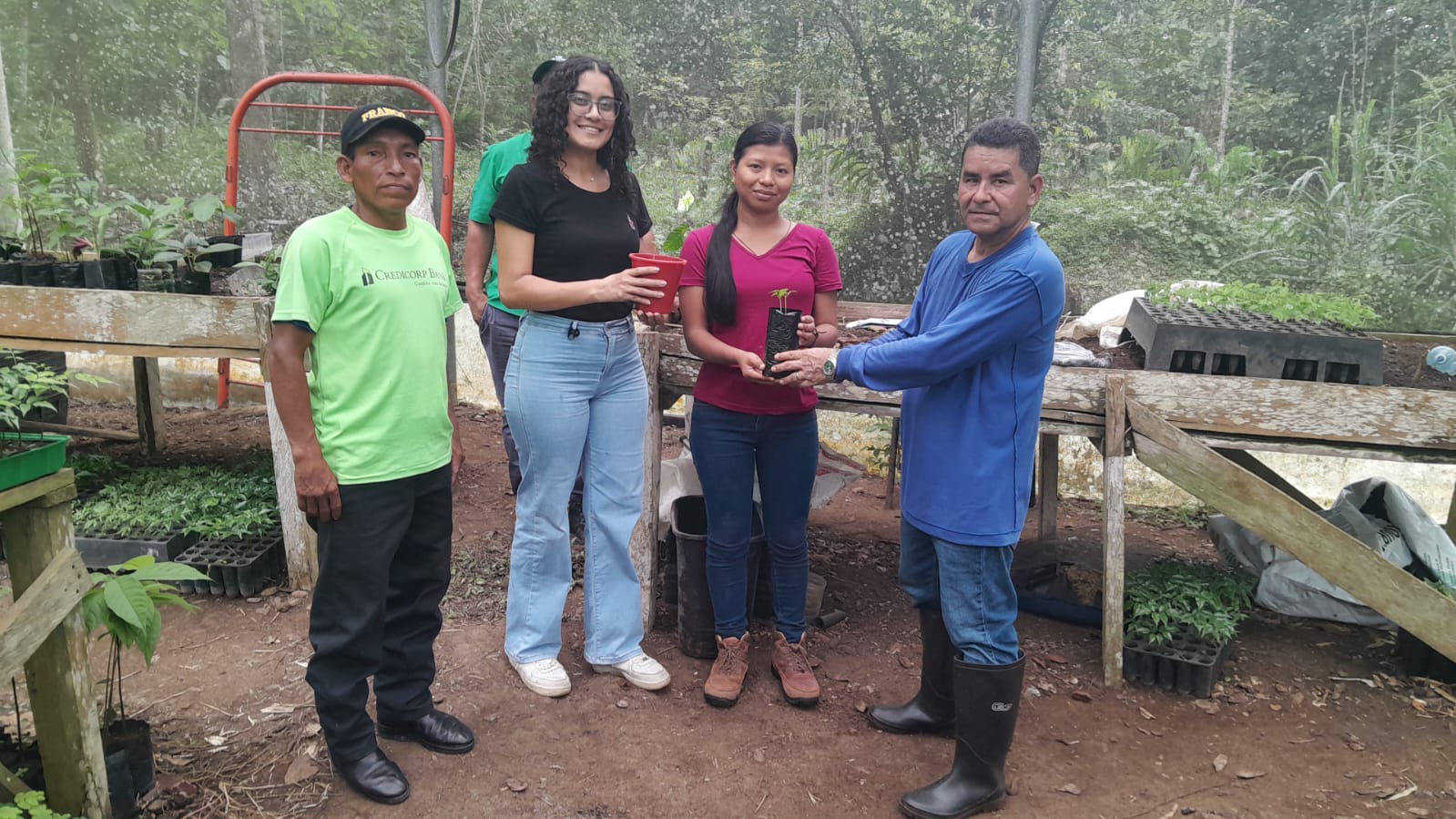 Realizan jornada de plantación de árboles en Darién