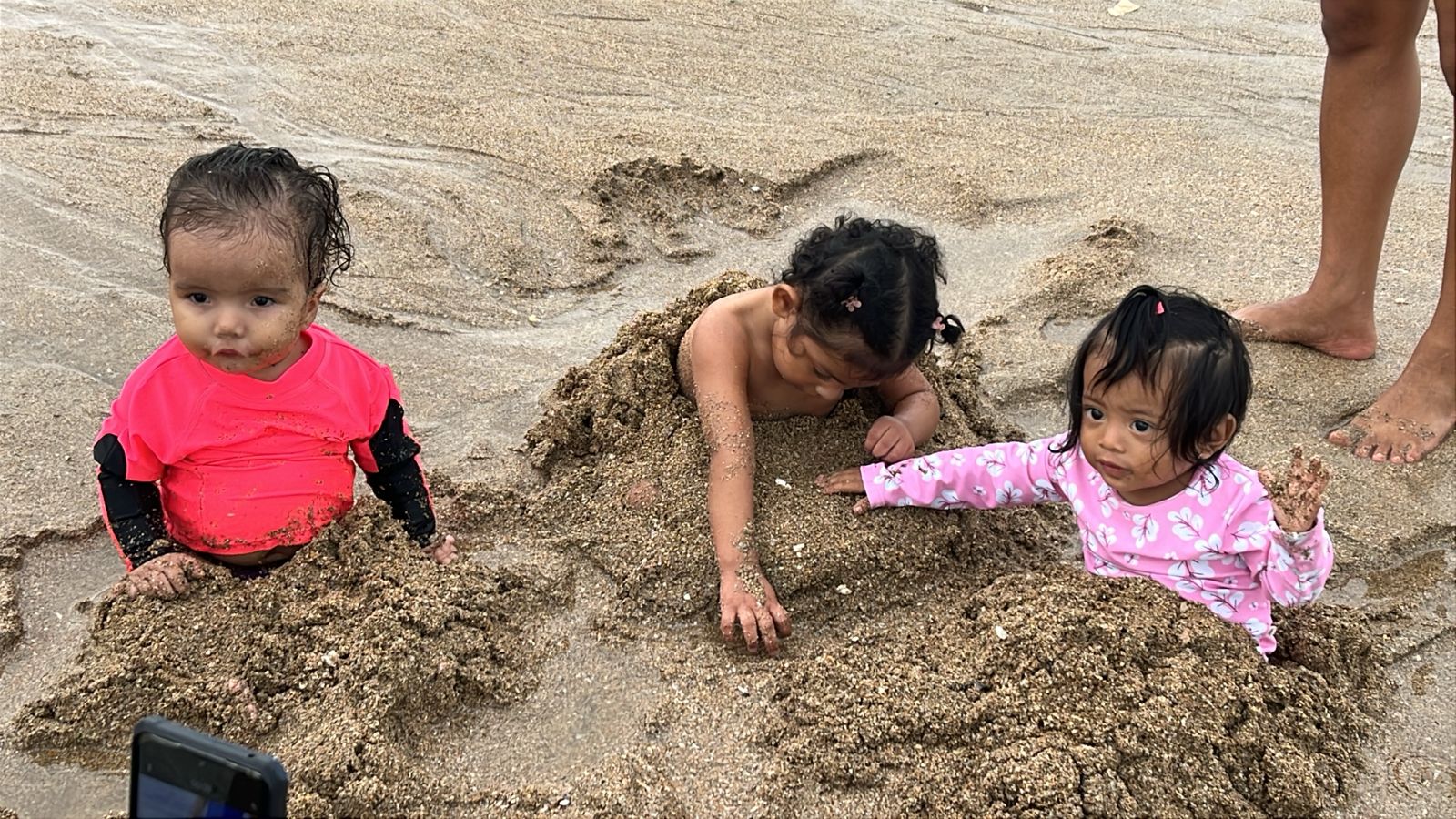 PEP promueve conciencia ambiental con gira pedagógica en playa Veracruz