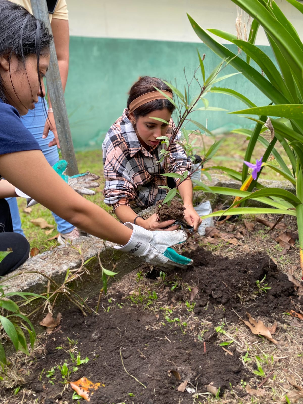 Estudiantes de la Universidad de Panamá realizan jornada de voluntariado en la EVE del IPHE.