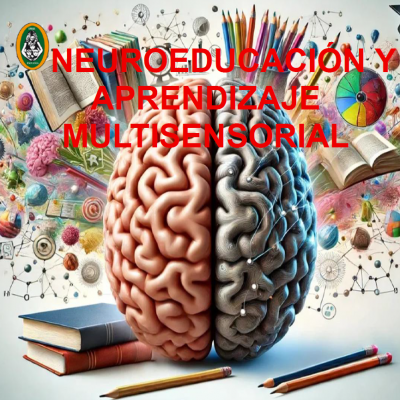 image-4-1770315747.png
