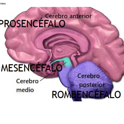 image-6-1770315747.png